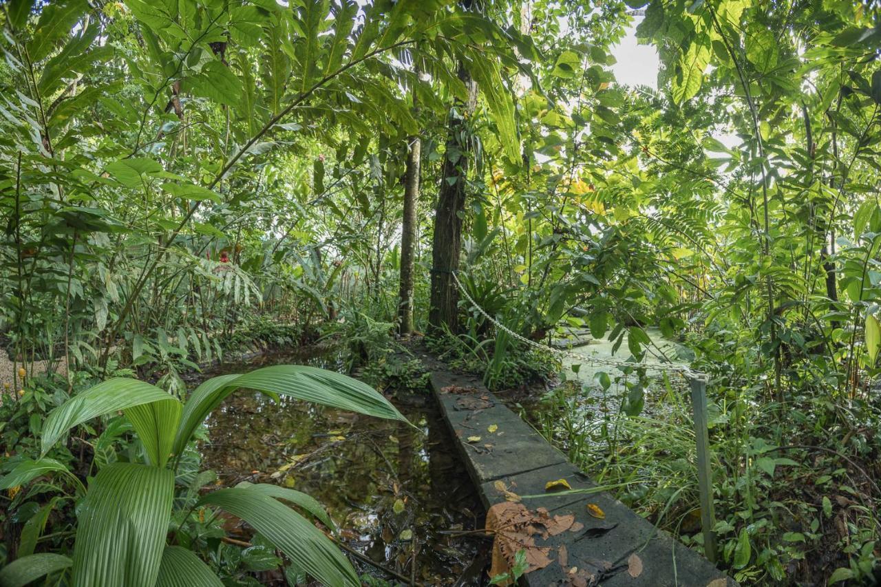 Cabanas Del Rio La Fortuna 외부 사진