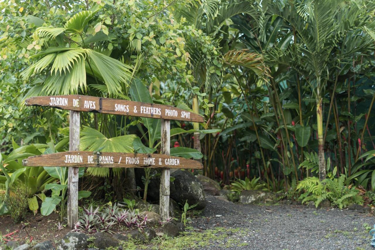 Cabanas Del Rio La Fortuna 외부 사진