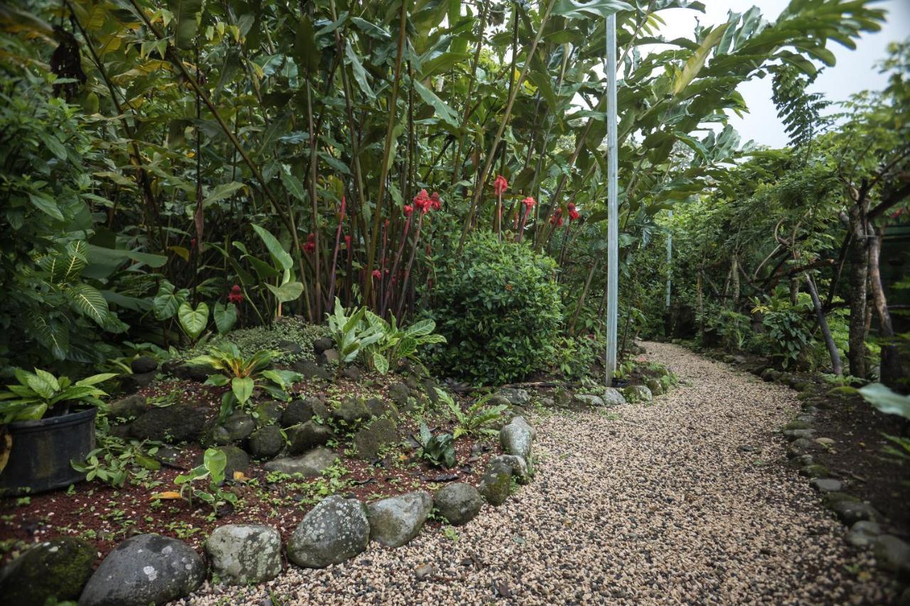 Cabanas Del Rio La Fortuna 외부 사진