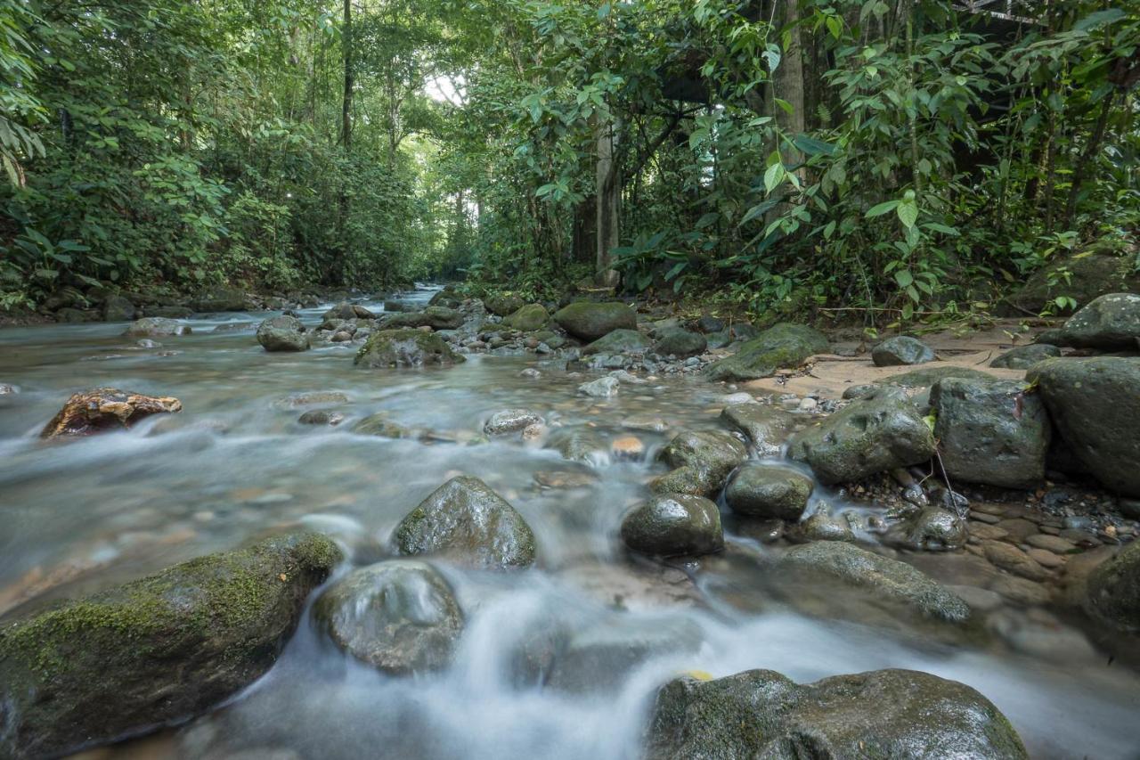 Cabanas Del Rio La Fortuna 외부 사진