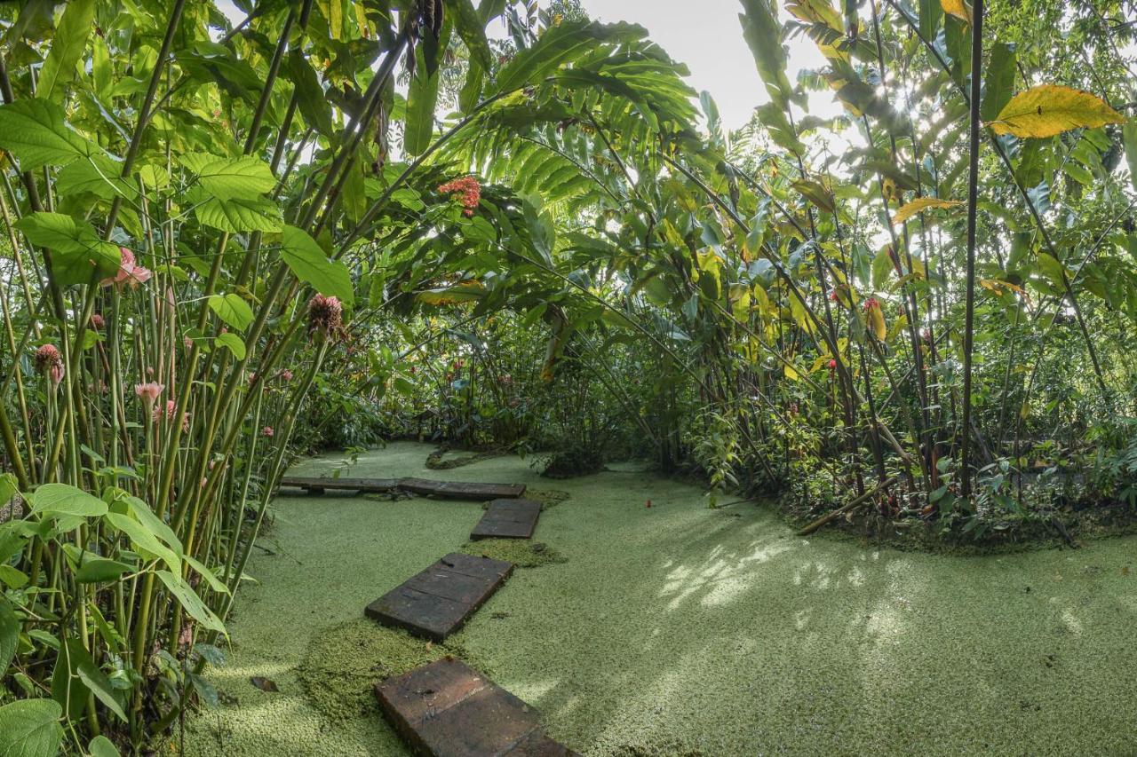 Cabanas Del Rio La Fortuna 외부 사진