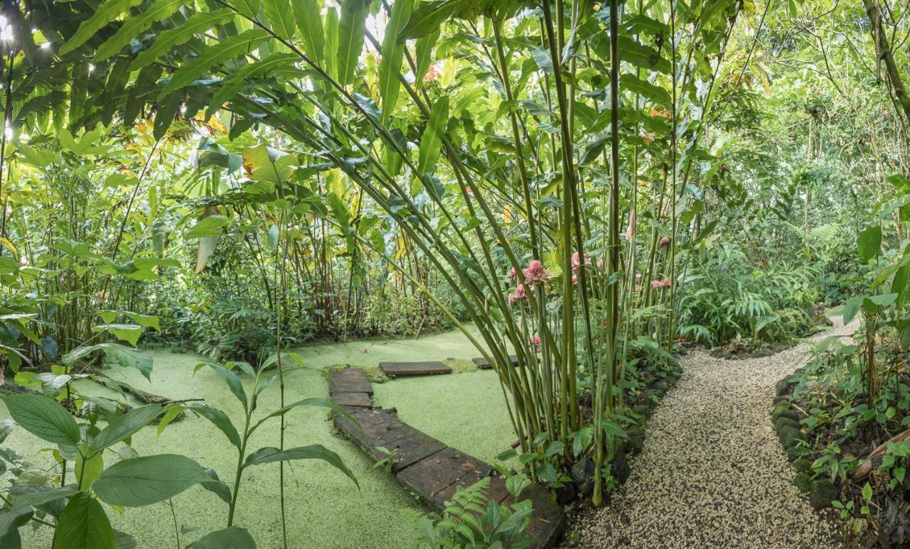 Cabanas Del Rio La Fortuna 외부 사진