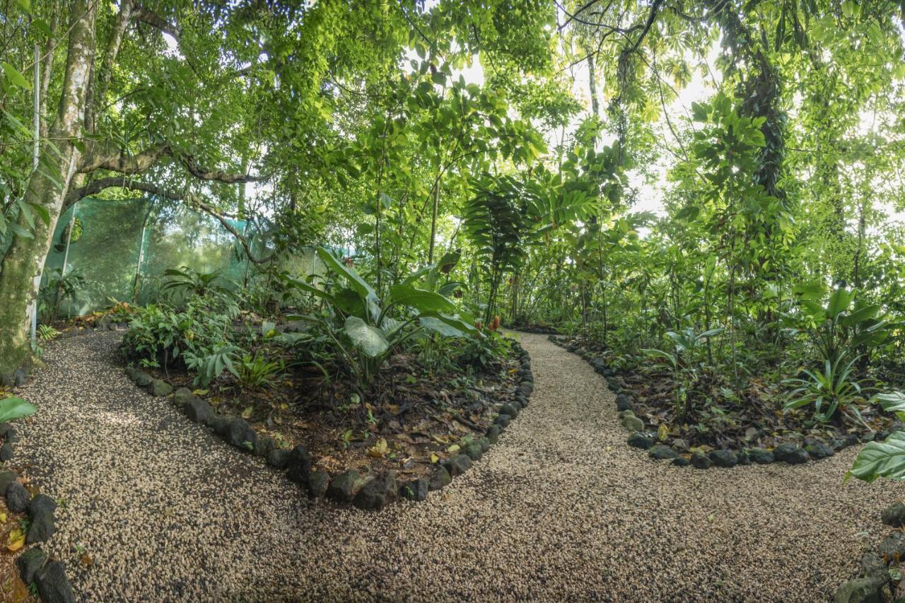 Cabanas Del Rio La Fortuna 외부 사진