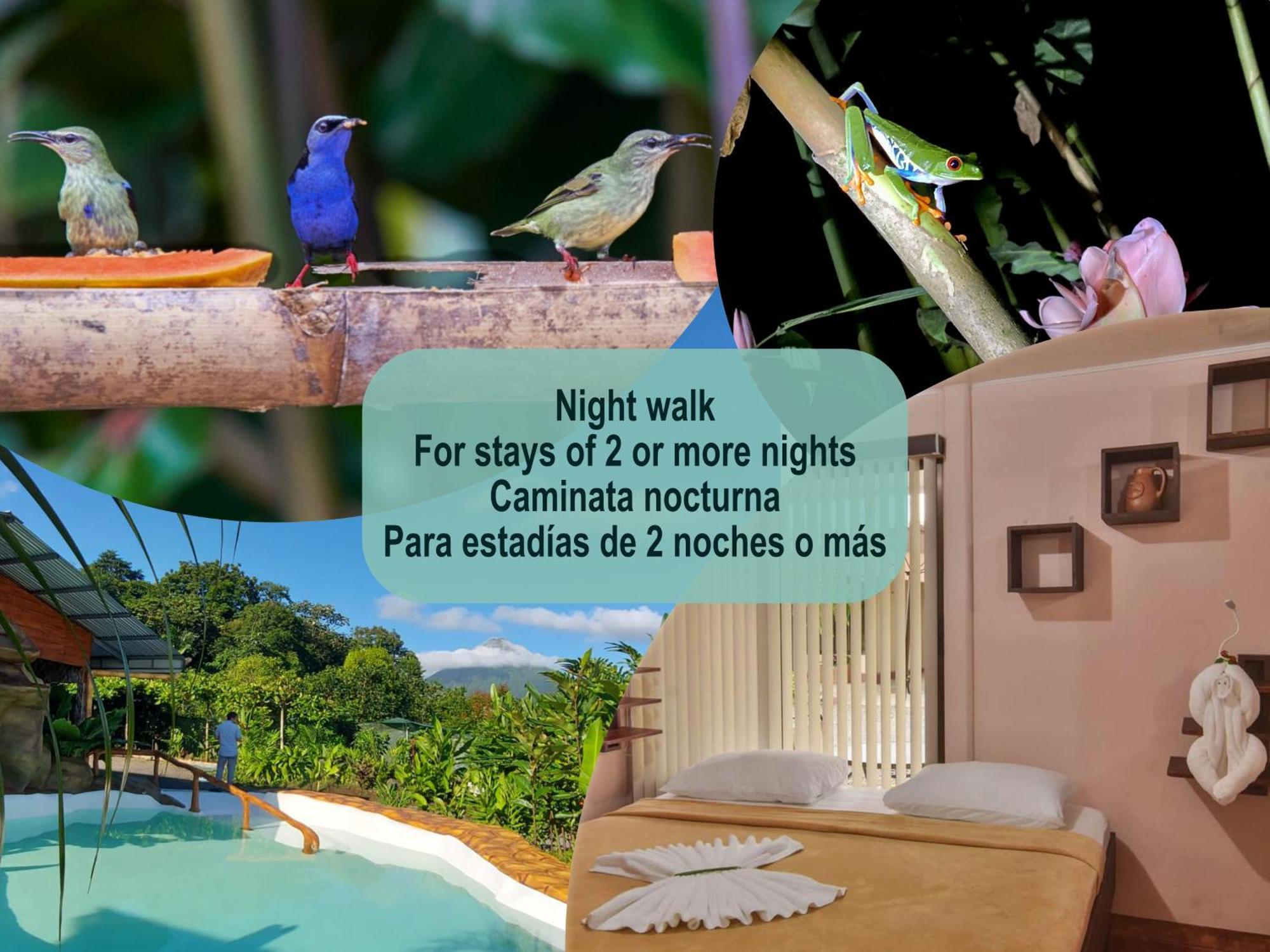 Cabanas Del Rio La Fortuna 외부 사진